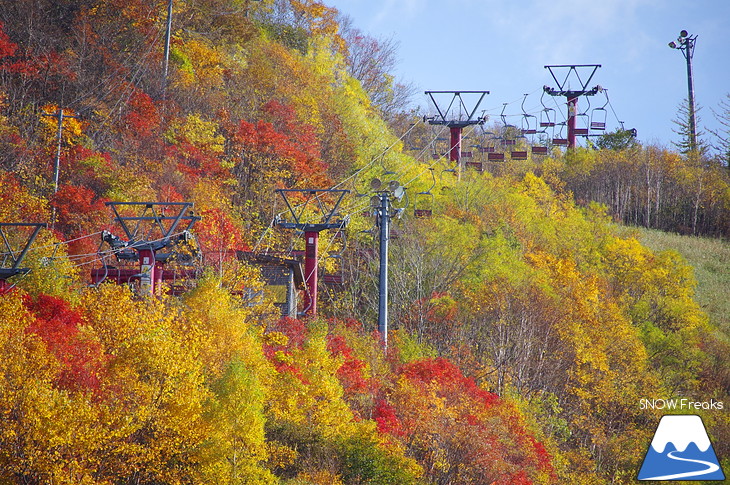 手稲山 2017 紅葉前線、順調に下山中！